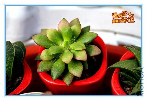 ��Ƭ 075_����.jpg