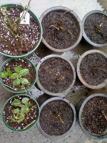 20130122869.jpg