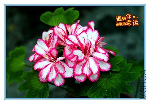 ��Ƭ 014_����.jpg