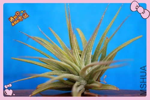 ��Ƭ 010_����.jpg