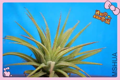 ��Ƭ 009_����.jpg