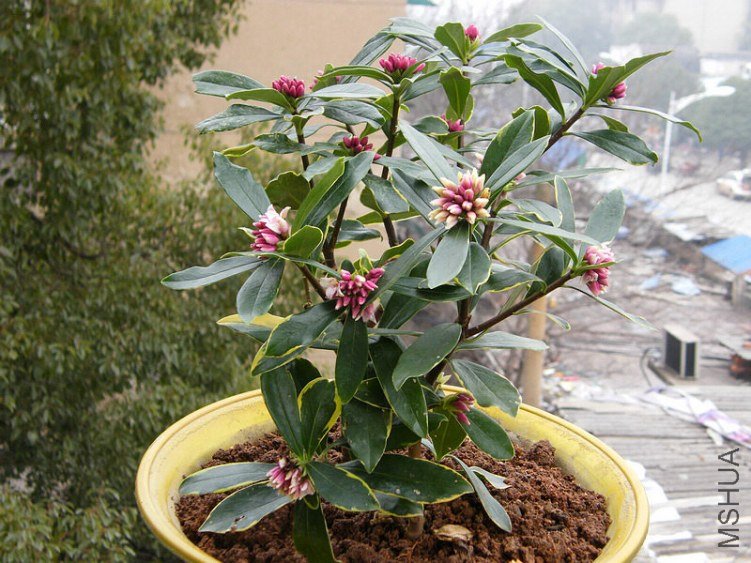 DSCF5459.jpg