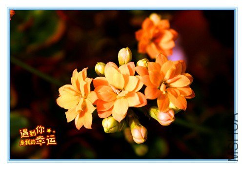 ��Ƭ 044_����.jpg