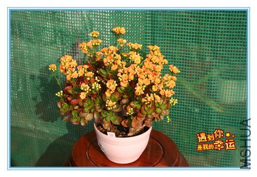 ��Ƭ 036_����.jpg