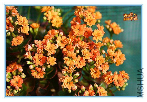 ��Ƭ 039_����.jpg