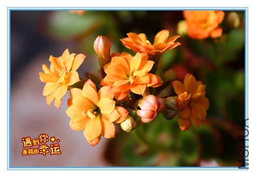 ��Ƭ 041_����.jpg