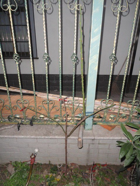 DSC03959.JPG