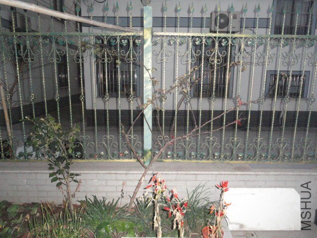 DSC03964.JPG