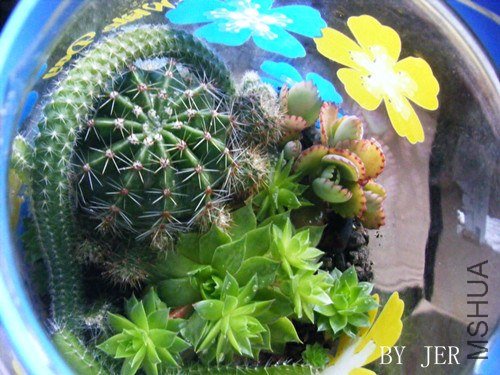DSCF2379_����.jpg