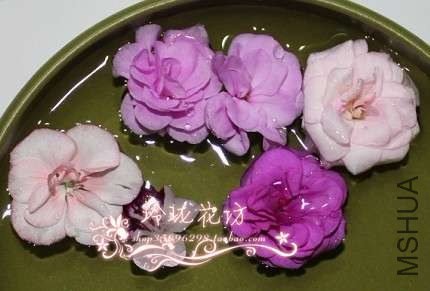 �Ҽ����쿪���ļ���Ʒ��