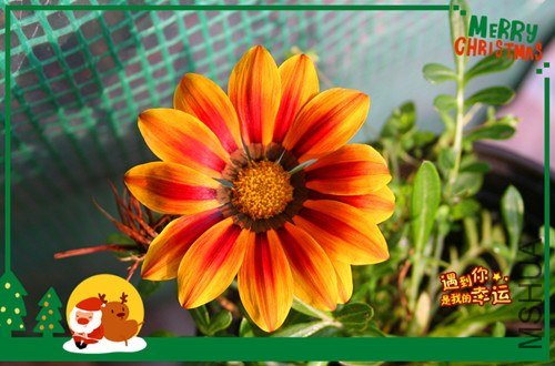 ��Ƭ 067_����.jpg