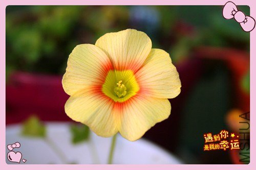 ��Ƭ 065_����.jpg