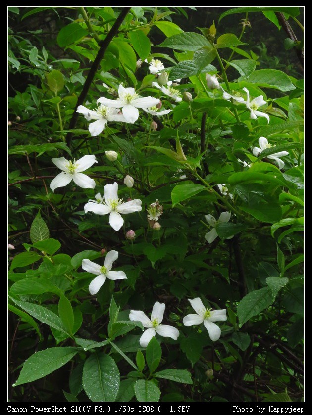 033 ɽҰ����Ȼ������С��.jpg