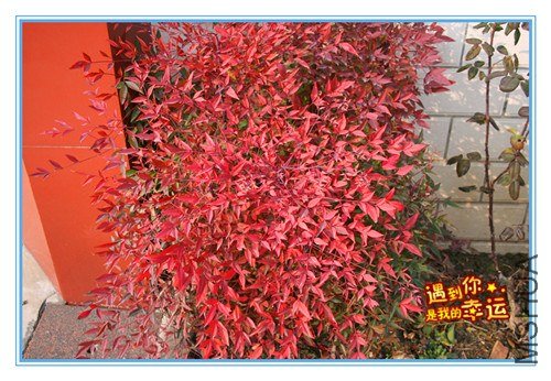 ��Ƭ 207_����.jpg