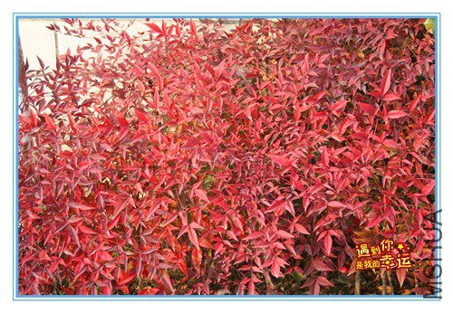 ��Ƭ 209_����.jpg