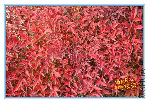 ��Ƭ 211_����.jpg