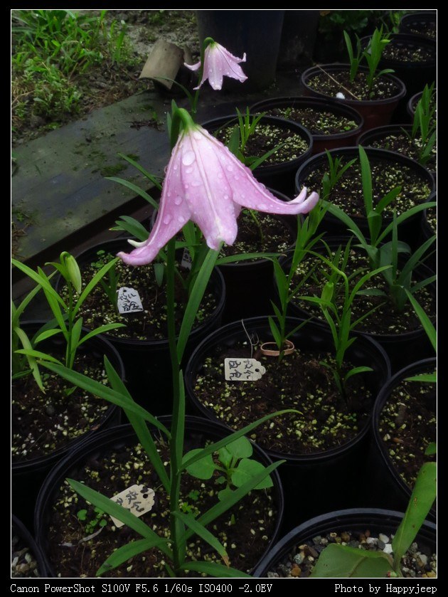 036 õ��ٺ�.jpg