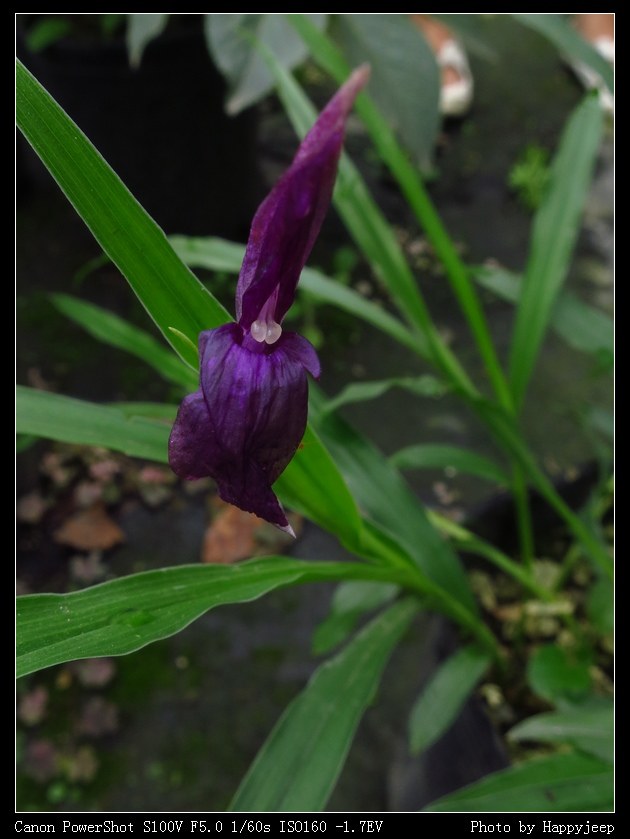 039 ������.jpg