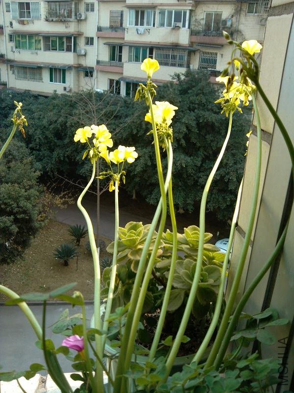 �����ݣ������ӣ�6.jpg