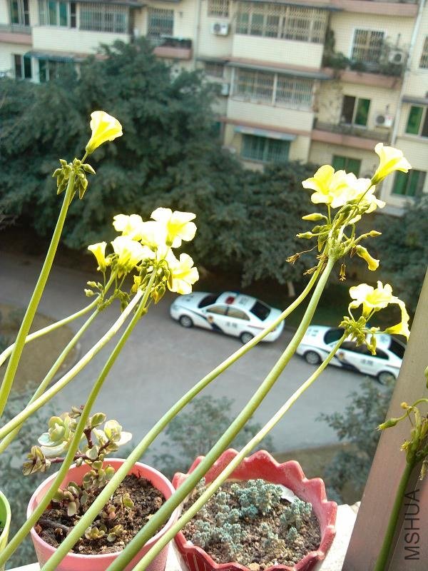 �����ݣ������ӣ�2.jpg
