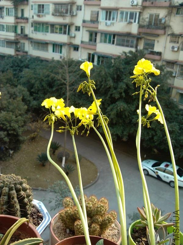 �����ݣ������ӣ�3.jpg