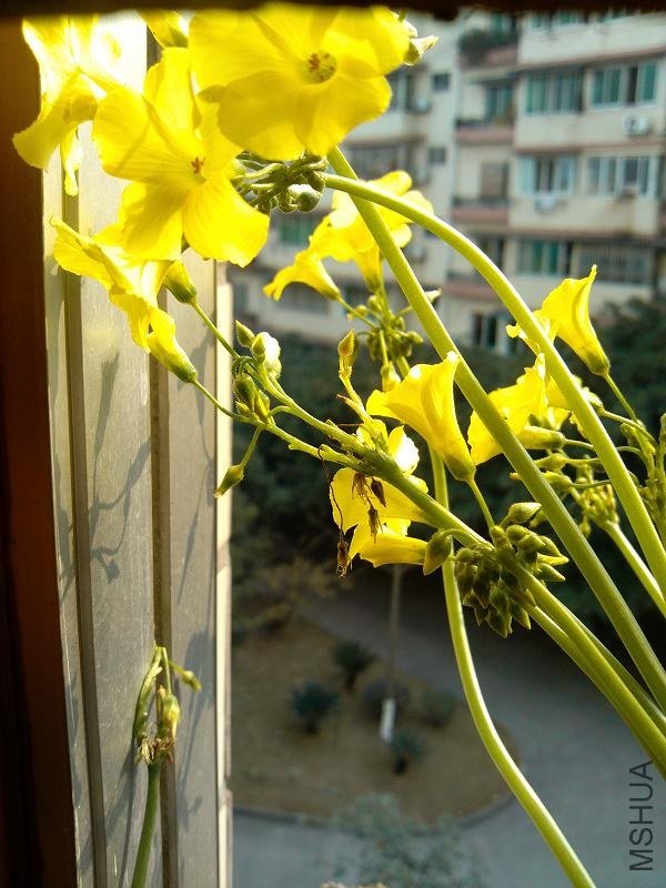 �����ݣ������ӣ�4.jpg