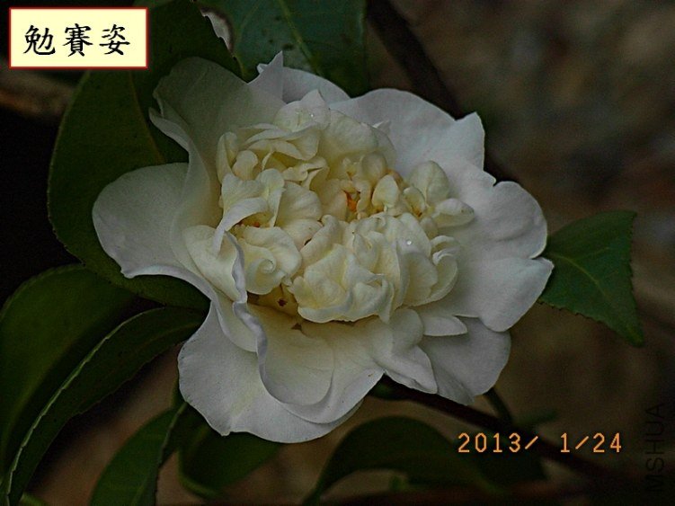 ��ِ��1A.jpg