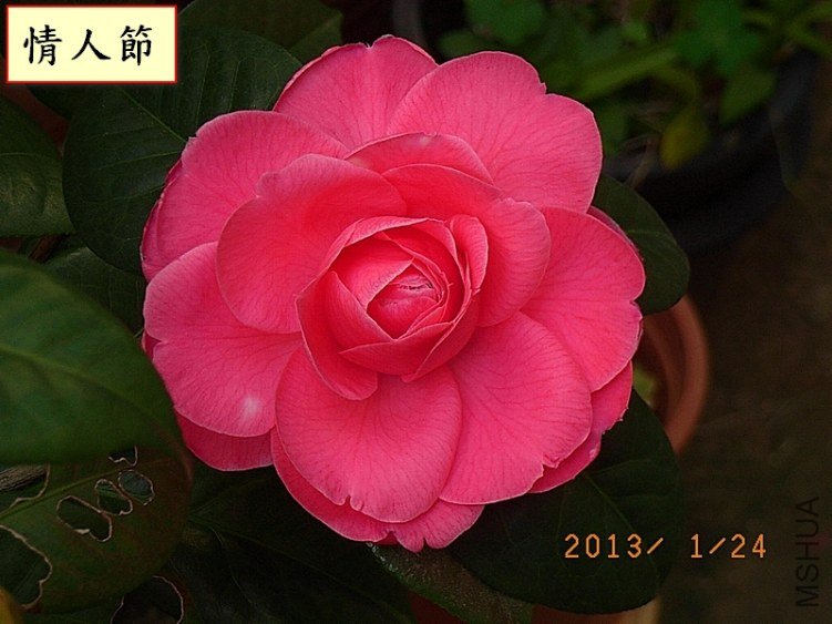 ���˹�1F.jpg