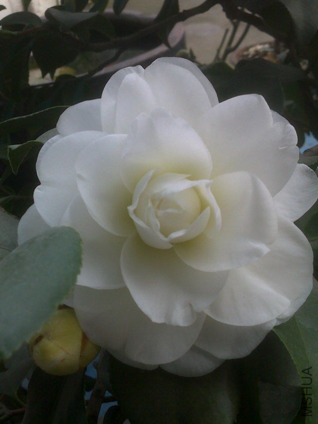 201301241009.jpg