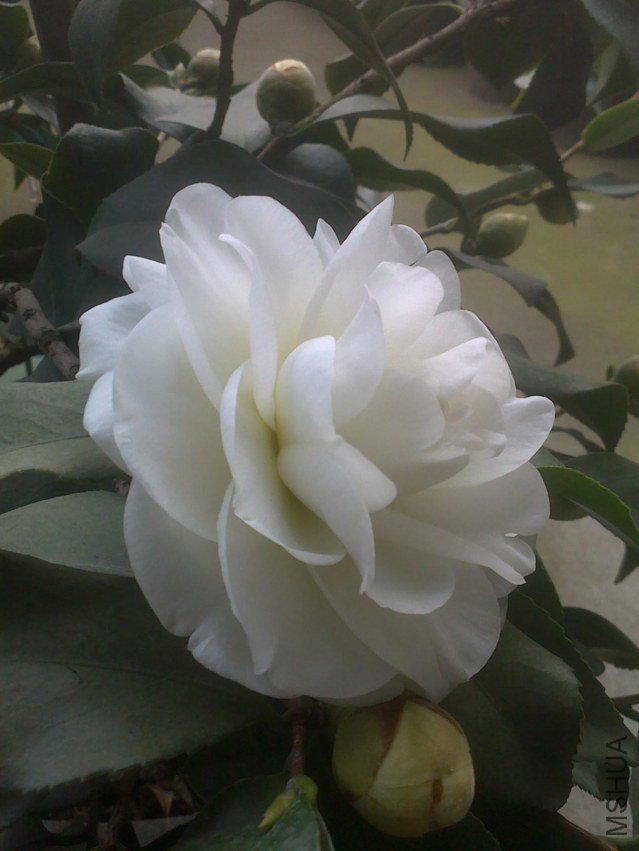 201301241010.jpg