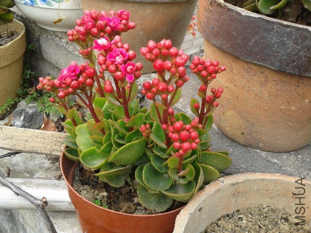 �����������͵�