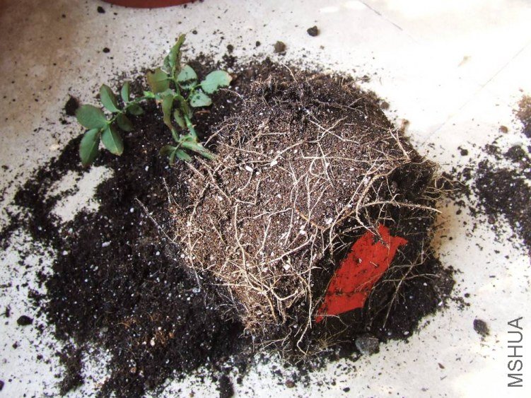 DSCF4760.jpg