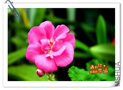 ��Ƭ 017_����.jpg