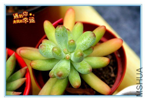 ��Ƭ 030_����.jpg