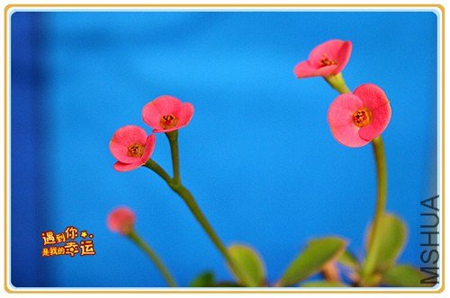 ��Ƭ 030_����.jpg