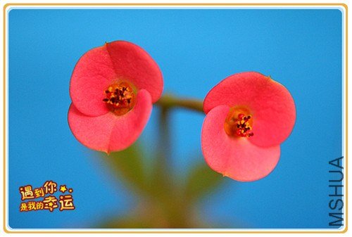 ��Ƭ 029_����.jpg