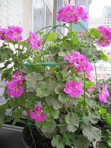 ������С ����õ�����3.JPG