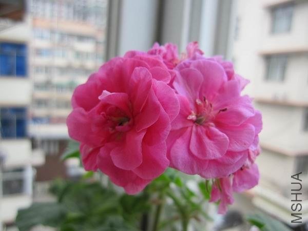 ������С ���շ�Ů��.JPG