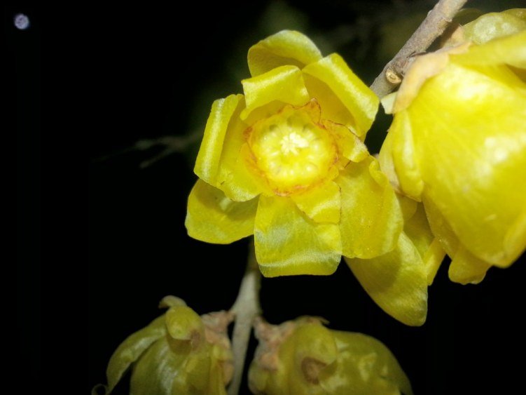 ������÷ (3)_1024x768.jpg