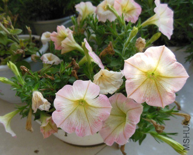 QQ��ͼ20130125211133.jpg
