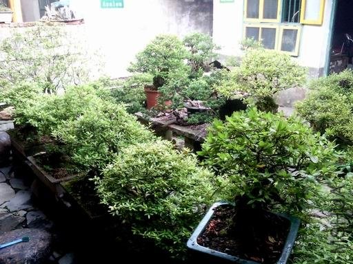 ���� SNC03596.jpg