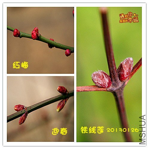 ��Ƭ 010_����.jpg