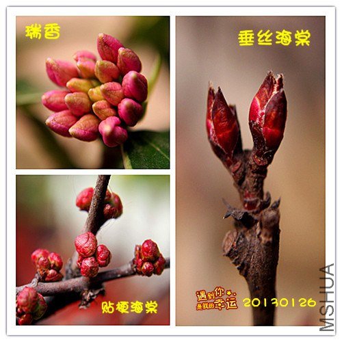 ��Ƭ 003_����.jpg