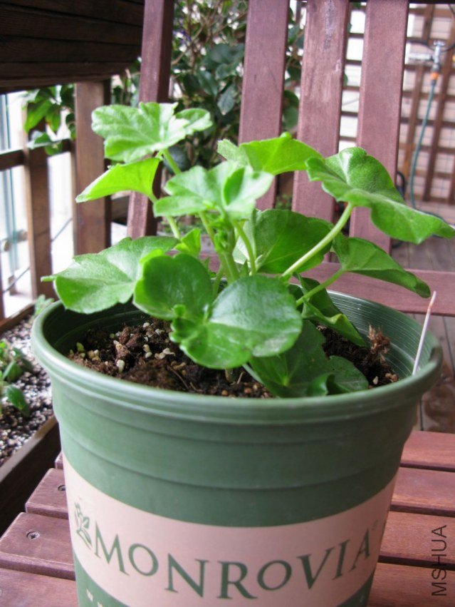 ��Ů��Ҳ��׳Щ��