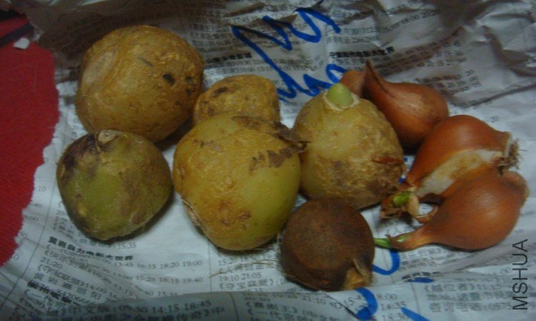 QQ��ͼ20130126102629.jpg