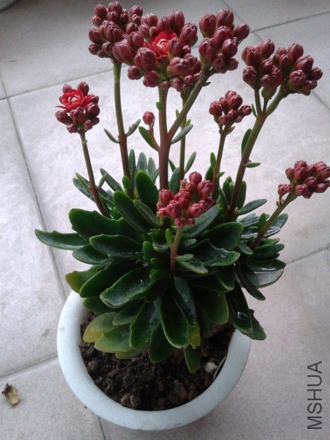 ��ת 20130126_095149.jpg