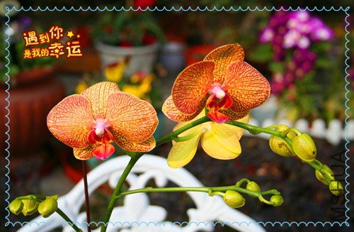 ��Ƭ 178_����.jpg