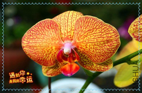 ��Ƭ 179_����.jpg