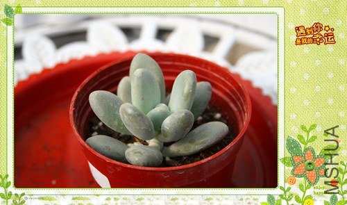 ��Ƭ 104_����.jpg