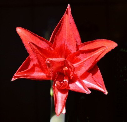 DSC_0069.jpg